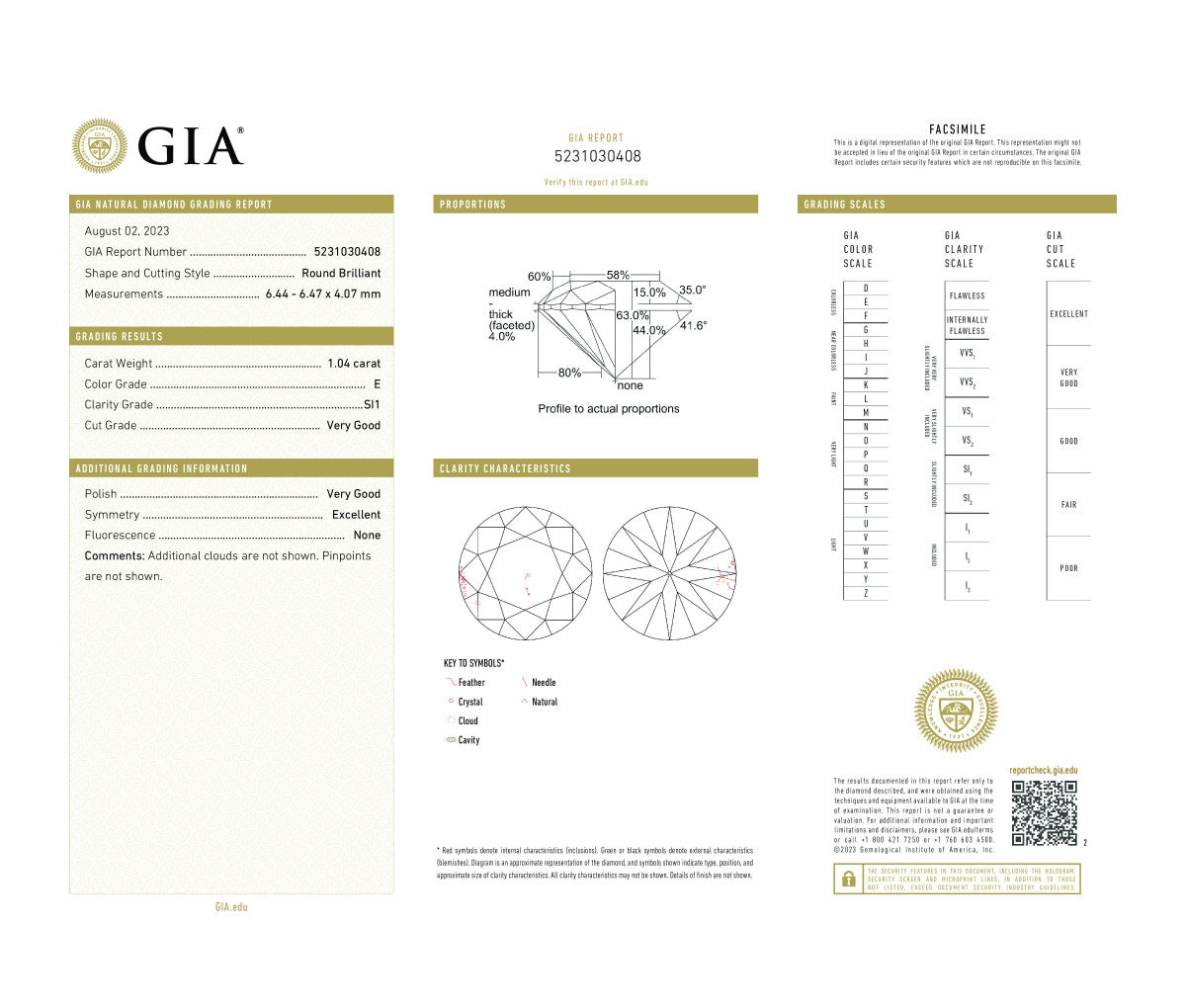Round Brilliant 1.04 E SI1  GIA Certified Diamond