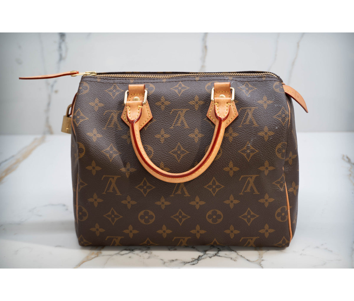 Louis Vuitton Monogram Canvas Speedy 25