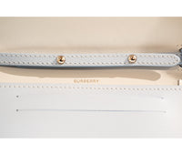 Burberry Blue Leaher Mini Double Olympia Pochette