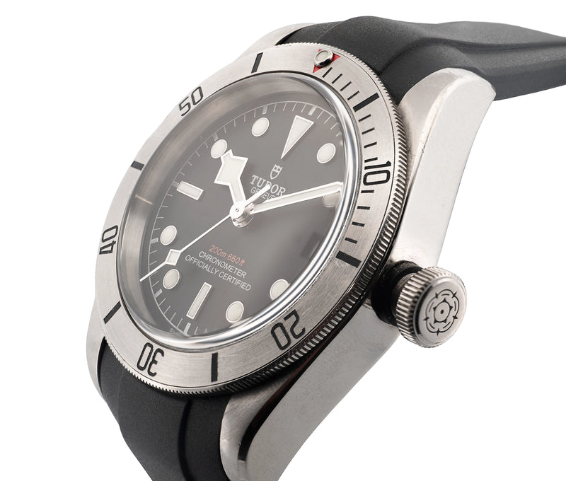 Tudor Heritage Black Bay 41 mm