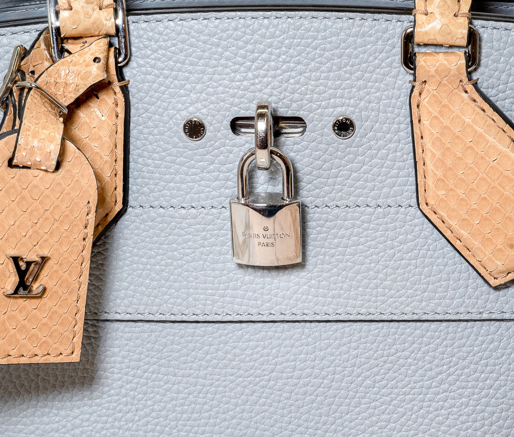 Louis Vuitton Grey Taurillon & Python City Steamer E/W Tote